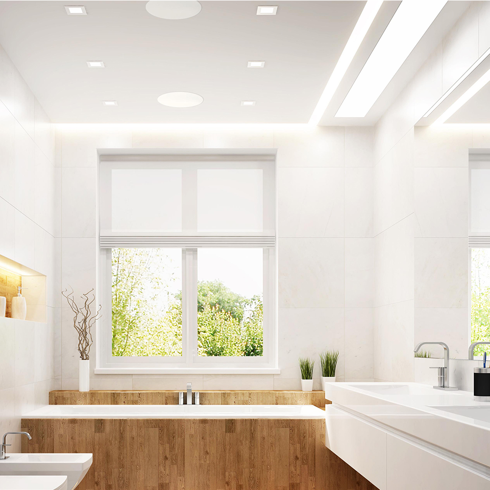 shower ceiling speaker